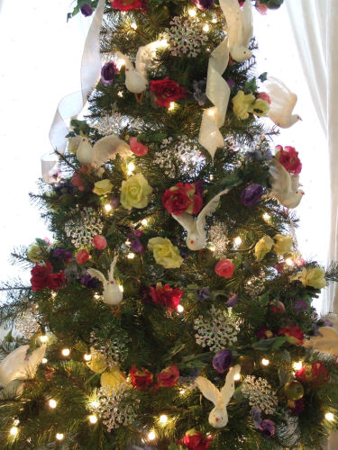 Tree midsection photo number six.