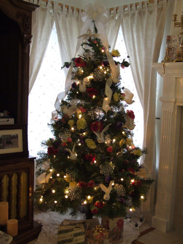 Full tree photo number one.