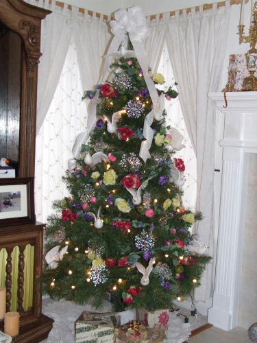 Full tree photo number two.