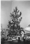 Christmas_tree_1953.jpg (26359 bytes)