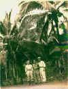 Dad_at_war_02.jpg (40797 bytes)