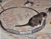 GiniAndMouse1.jpg (42612 bytes)