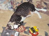 GiniAndMouse3.jpg (35495 bytes)