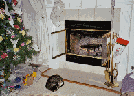 GiniAndMouse2.jpg (31249 bytes)