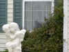 FamilyMistyInWindow_072003_002.jpg (25185 bytes)