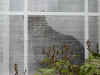 FamilyMistyInWindow_072003_003.jpg (25514 bytes)