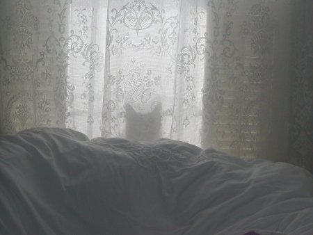 Photo of Misty number one