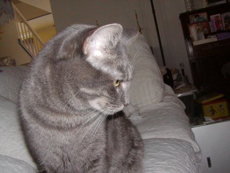 Photo of Misty number six