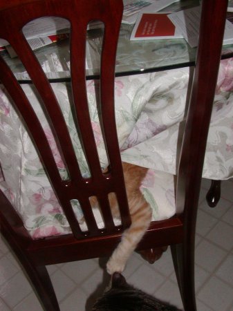Photo of Singha number nine