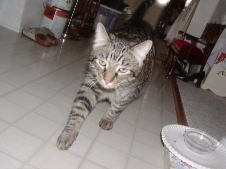 Photo of Tarzan number four