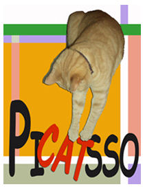 PiCATsso logo number 2.